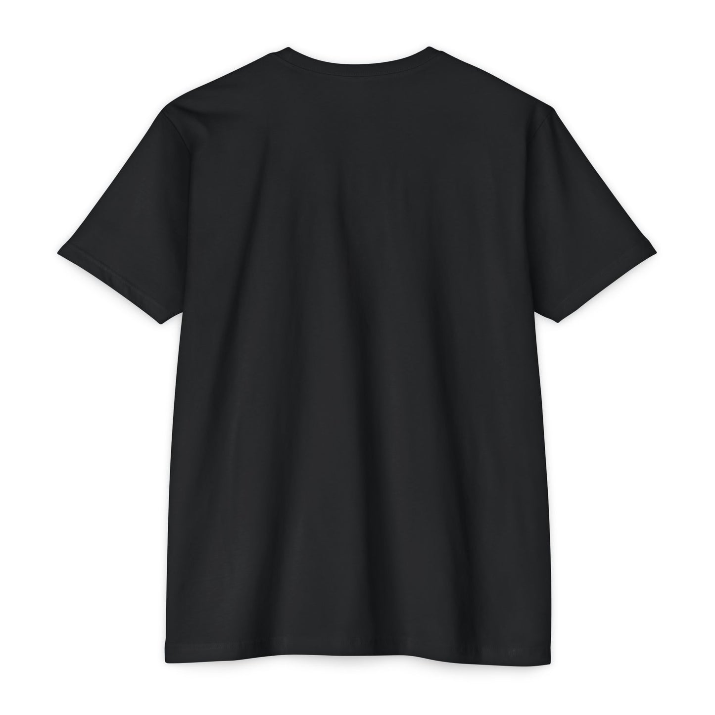 Cozy Unisex CVC Jersey T-Shirt, Casual Tee, Everyday Wear, Gift Idea, Summer Essential, Comfortable Clothing